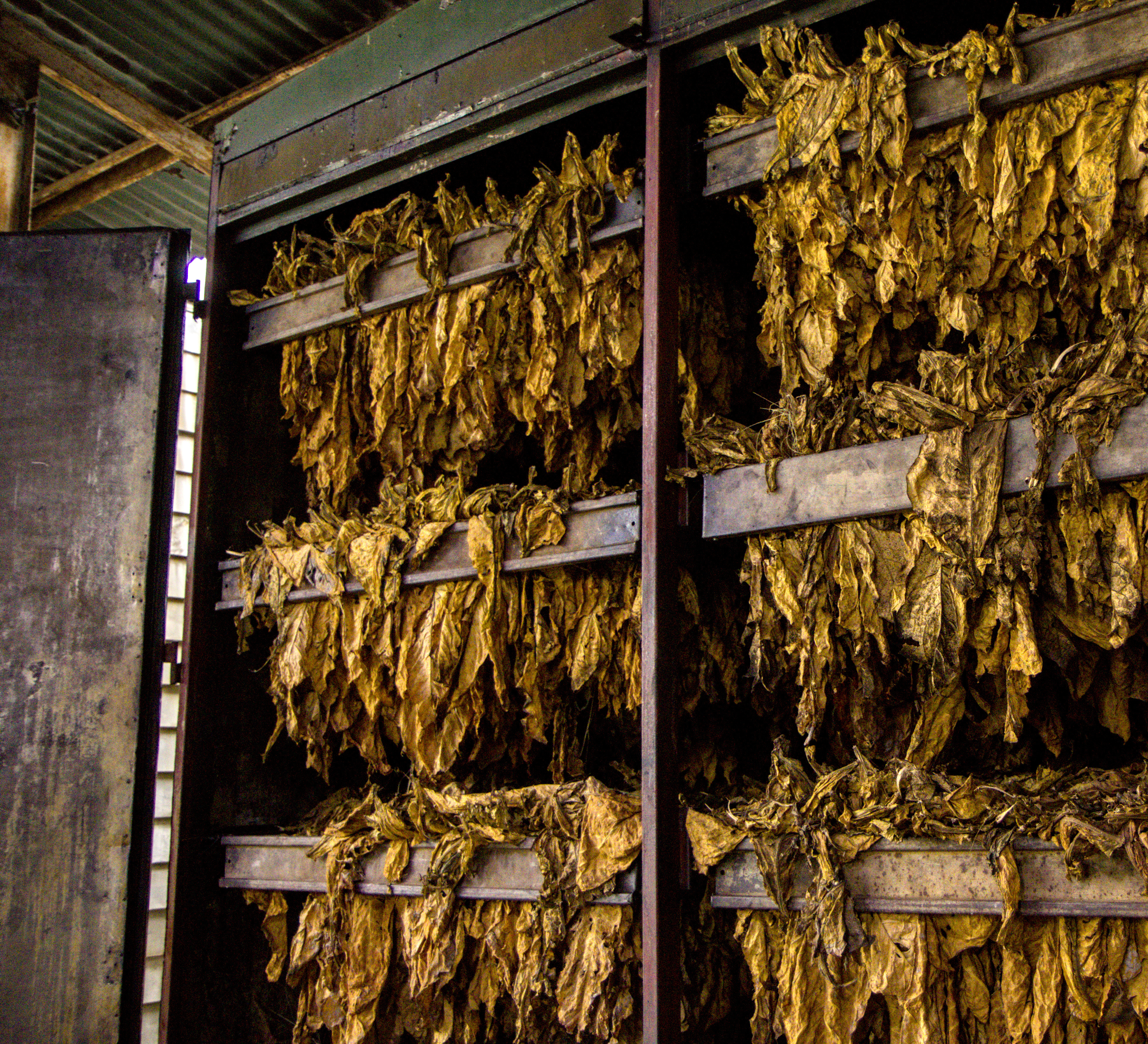 Descripción de la segunda imagen