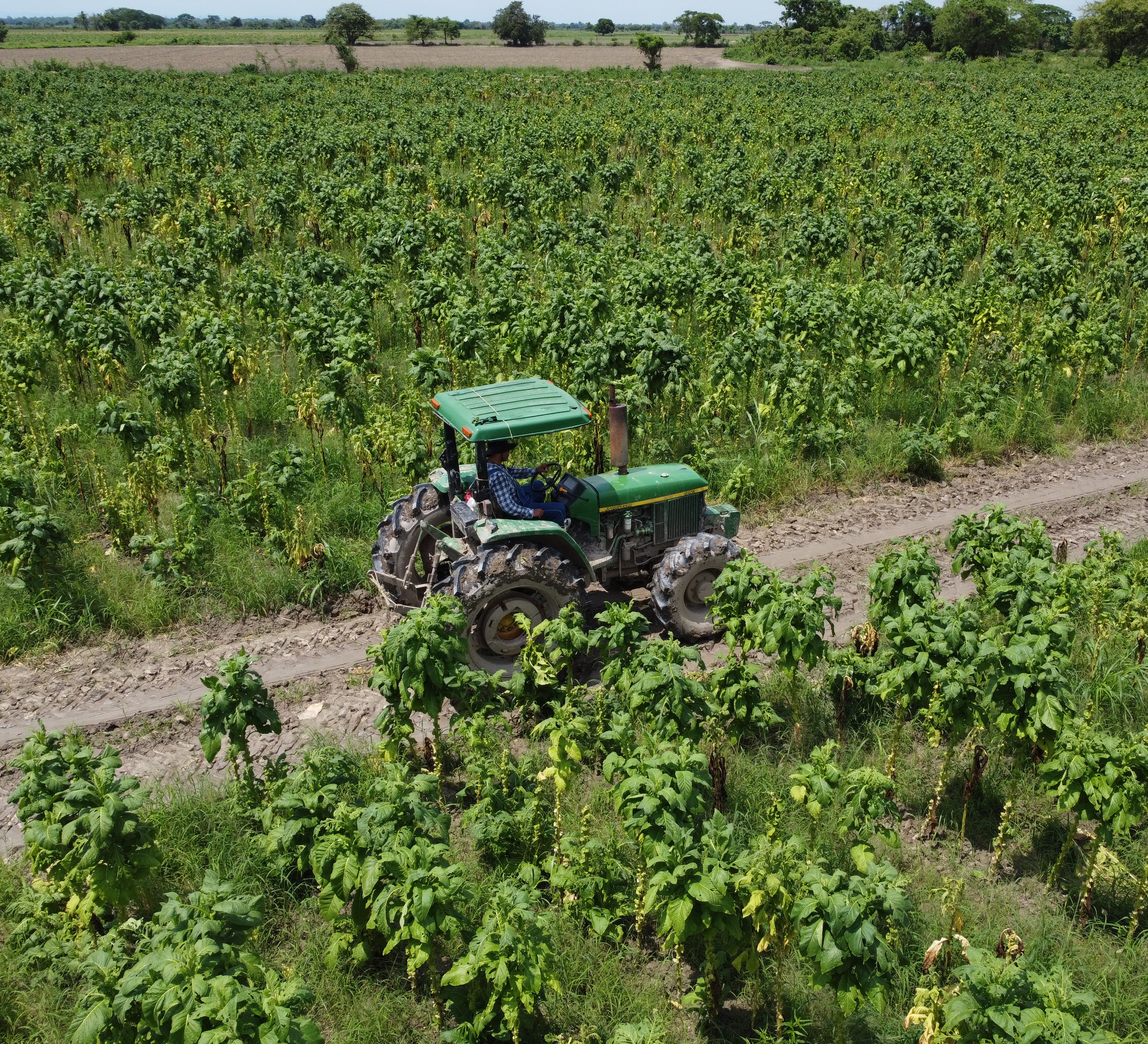Descripción de la primera imagen