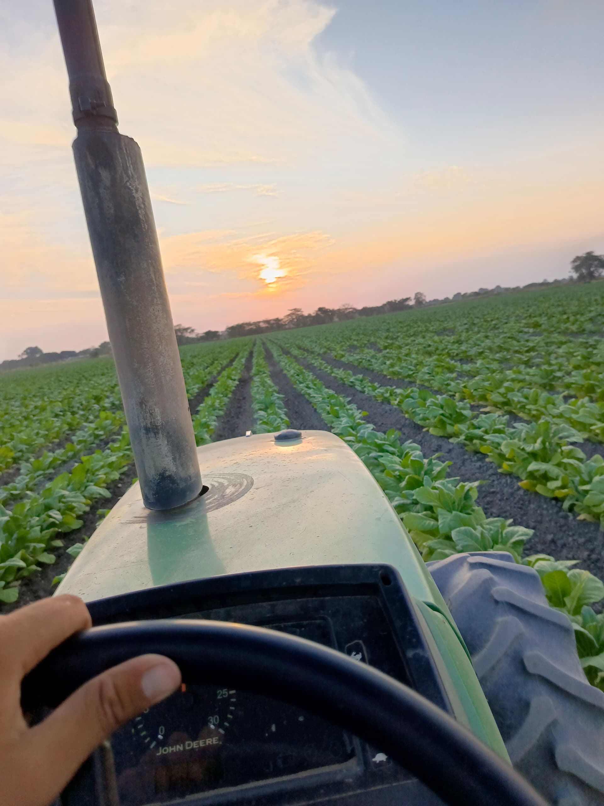 Descripción de la tercera imagen